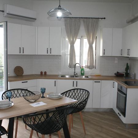 Апартаменти Aeraki House Lefkada City Екстер'єр фото